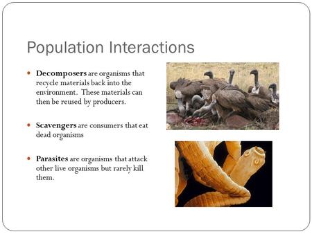 Population Interactions Decomposers are organisms that recycle materials back into the environment. These materials can then be reused by producers. Scavengers.