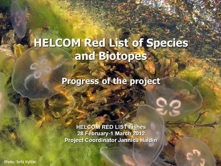 Photo: Terhi Ryttäri HELCOM Red List of Species and Biotopes Progress of the project HELCOM RED LIST Fishes 28 February-1 March 2012 Project Coordinator.