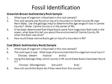 Fossil Identification