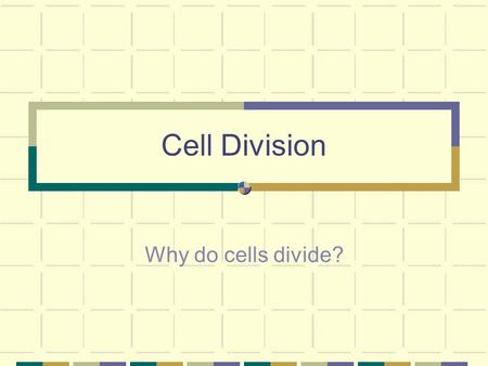 Cell Division Why do cells divide?. Cells must divide in order for the surface area (cell membrane) to keep up with the volume of the cell.