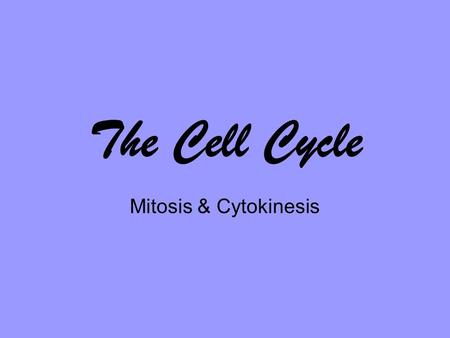The Cell Cycle Mitosis & Cytokinesis. Why do living things grow? This baby king penguin grows because he produces more and more cells.