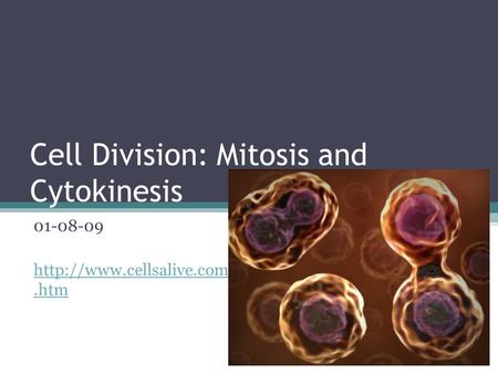 Cell Division: Mitosis and Cytokinesis 01-08-09