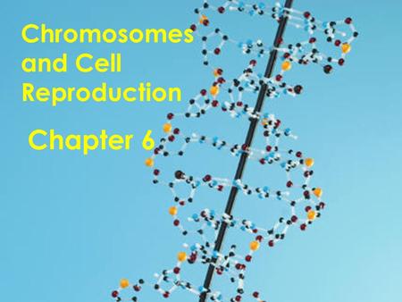 Chromosomes and Cell Reproduction Chapter 6. chromosomes Section 6-1.