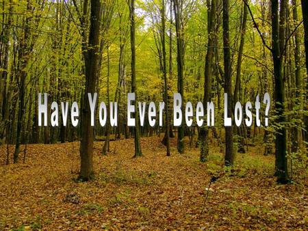 Have You Ever Been Lost?.