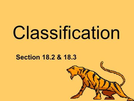Classification Section 18.2 & 18.3. Phylogeny: Evolutionary relationships among organisms Biologists group organisms into categories that represent lines.