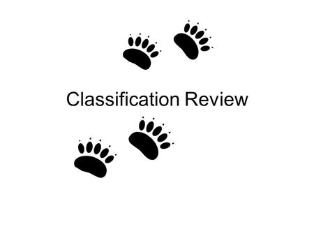 Classification Review