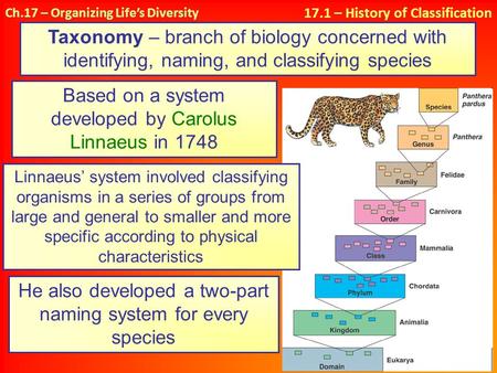 Ch.17 – Organizing Life’s Diversity 17.1 – History of Classification Taxonomy – branch of biology concerned with identifying, naming, and classifying species.