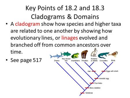 A cladogram show how species and higher taxa are related to one another by showing how evolutionary lines, or linages evolved and branched off from common.