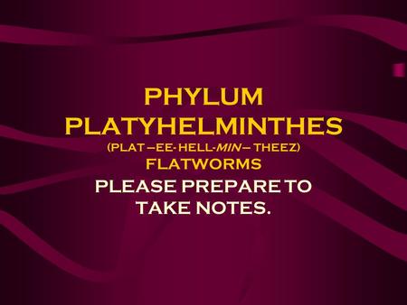 PHYLUM PLATYHELMINTHES (PLAT –EE- HELL-MIN – THEEZ) FLATWORMS