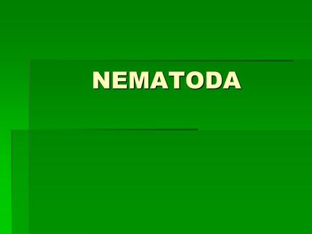 NEMATODA. Characteristics  Roundworms  Name means “thread- like”  Thought to be most abundant animals on Earth (only about 20,000 species identified,