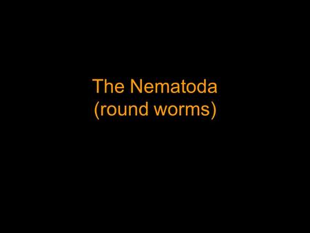 The Nematoda (round worms) Major Characteristics Animal Characteristics Cylinderical and bilateral Triploblastic Pseudocoelomate Complete digestive system.