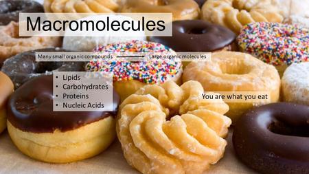 Macromolecules Lipids Carbohydrates Proteins Nucleic Acids