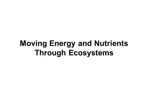 Moving Energy and Nutrients Through Ecosystems
