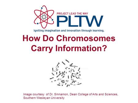 How Do Chromosomes Carry Information? Image courtesy of Dr. Sinnamon, Dean College of Arts and Sciences, Southern Wesleyan University.