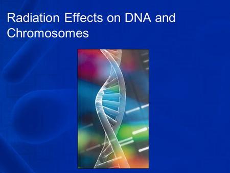 Radiation Effects on DNA and Chromosomes. So, what do you understand by DNA anyway? DNA can be described as a long fiber that resembles a hair under a.
