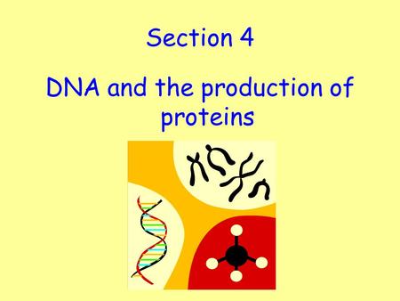 Section 4 DNA and the production of proteins. Learning Intention: To understand the structure and function of DNA, genes and chromosomes. Success Criteria: