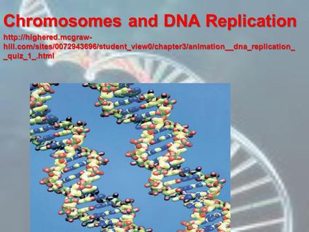 Chromosomes and DNA Replication  hill.com/sites/0072943696/student_view0/chapter3/animation__dna_replication_ _quiz_1_.html.