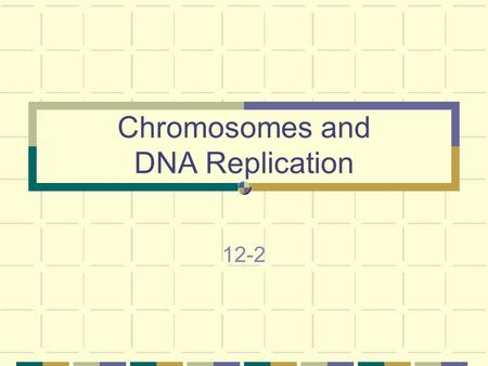 Chromosomes and DNA Replication 12-2. DNA & Chromosomes Prokaryotes - Lack nuclei and cellular organelles Have single circular DNA molecule Contains nearly.