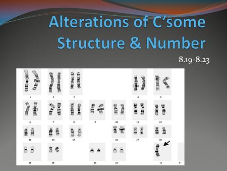 8.19-8.23. Karyotype- magnified images of chromosomes that are arranged in order A human karyotype.