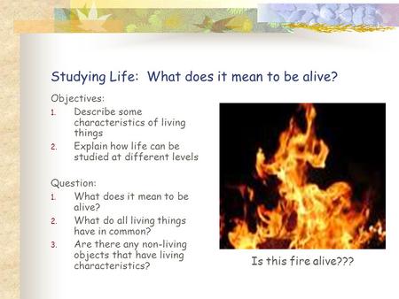 Studying Life: What does it mean to be alive? Objectives: 1. Describe some characteristics of living things 2. Explain how life can be studied at different.