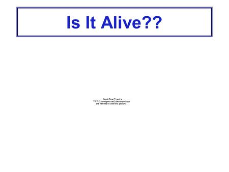 Is It Alive?? 1. Living Things Are Made Up of Cells Unicellular organisms are made of 1 cell Multicellular organisms are made of more than 1 cell Cells.