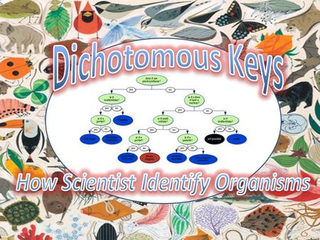 A classification system is a way of separating a large group of closely related organisms into smaller subgroups. With such a system, identification of.