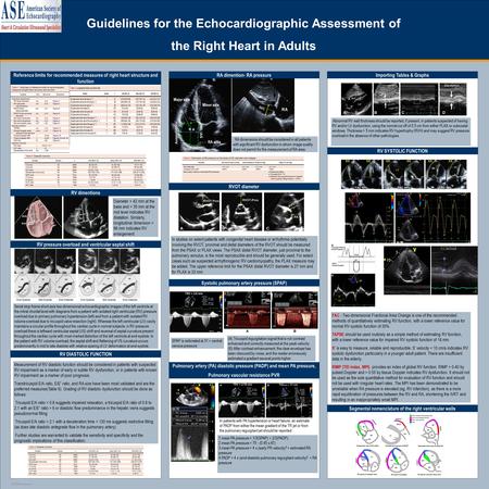 Guidelines for the Echocardiographic Assessment of