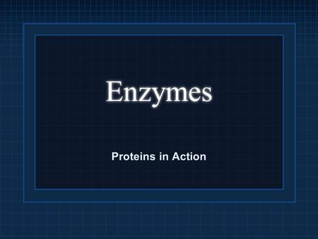 Enzymes Proteins in Action. Enzymes are Proteins Most enzymes are globular proteins. Like all proteins, enzymes are made up of chains of amino acids.