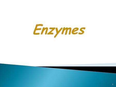 1. Proteins  Enzymes are specialized Proteins Catalysts  Act as Catalysts to accelerate a reaction  Not permanently  Not permanently changed in the.