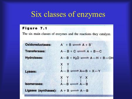 Six classes of enzymes.
