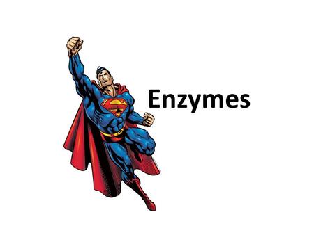 Enzymes. California Science Standard 1 b. Students know enzymes are proteins that catalyze biochemical reactions without altering the reaction equilibrium.