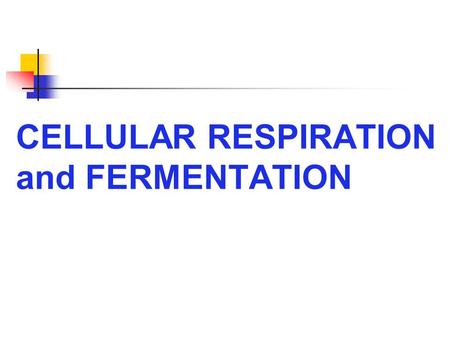 CELLULAR RESPIRATION and FERMENTATION. Energy Harvest Fermentation – partial breakdown w/o oxygen Cellular Respiration – most efficient, oxygen consumed,