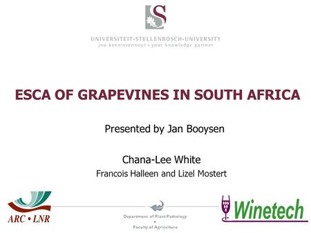 Department of Plant Pathology  Faculty of Agriculture ESCA OF GRAPEVINES IN SOUTH AFRICA Chana-Lee White Francois Halleen and Lizel Mostert Presented.