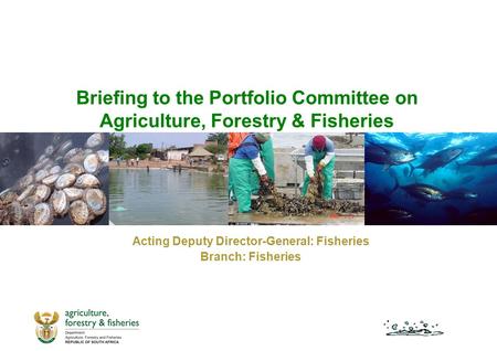 Briefing to the Portfolio Committee on Agriculture, Forestry & Fisheries Acting Deputy Director-General: Fisheries Branch: Fisheries.