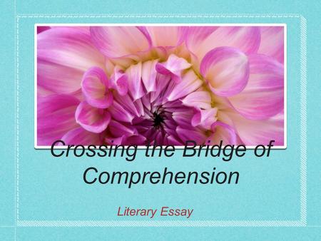Crossing the Bridge of Comprehension Literary Essay.