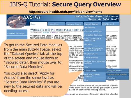 IBIS-Q Tutorial: Secure Query Overview  To get to the Secured Data Modules from the main IBIS-PH page, select.
