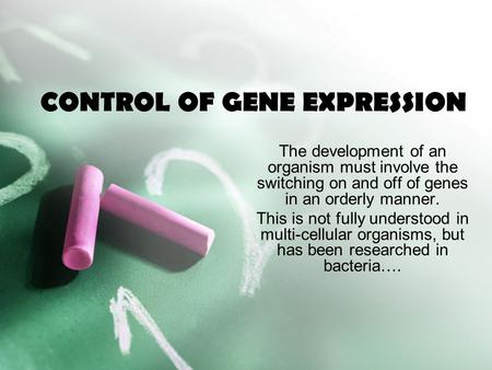 CONTROL OF GENE EXPRESSION The development of an organism must involve the switching on and off of genes in an orderly manner. This is not fully understood.