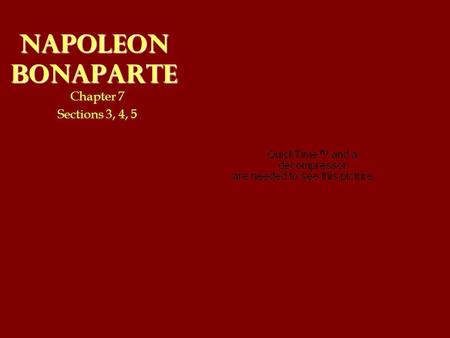 Napoleon Bonaparte Chapter 7 Sections 3, 4, 5.