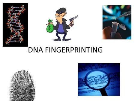 DNA FINGERPRINTING.