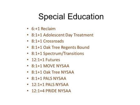 Special Education 6:+1 Reclaim 8:1+1 Adolescent Day Treatment 8:1+1 Crossroads 8:1+1 Oak Tree Regents Bound 8:1+1 Spectrum/Transitions 12:1+1 Futures 8:1+1.