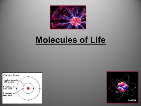 Molecules of Life Carbon Hydrogen Nitrogen Oxygen Phosphorus Sulfur.