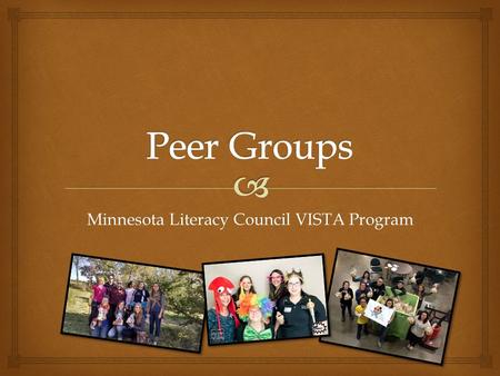 Minnesota Literacy Council VISTA Program.   Smaller groups within the cohort (5-7)  Established at the beginning of each year  (may have some change.