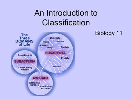An Introduction to Classification Biology 11. Taxonomy the science of classifying organisms.