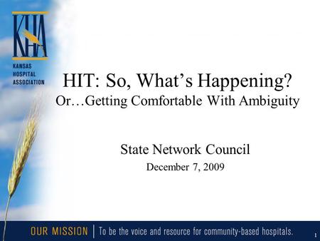 1 HIT: So, What’s Happening? Or…Getting Comfortable With Ambiguity State Network Council December 7, 2009.