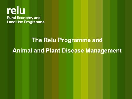 The Relu Programme and Animal and Plant Disease Management.