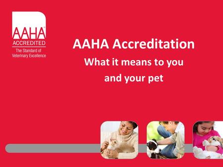 AAHA Accreditation What it means to you and your pet.