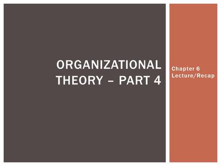 Chapter 6 Lecture/Recap ORGANIZATIONAL THEORY – PART 4.