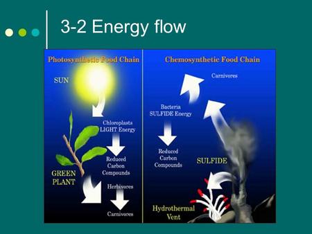 3-2 Energy flow. Producers The sun is the main energy source of life on earth. Some types of organisms rely on the energy stored in inorganic chemical.