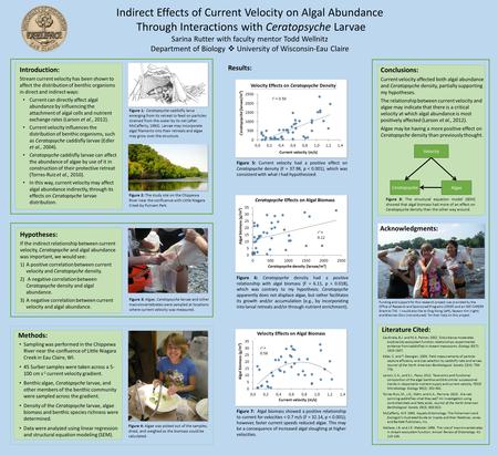 Indirect Effects of Current Velocity on Algal Abundance Through Interactions with Ceratopsyche Larvae Sarina Rutter with faculty mentor Todd Wellnitz Department.