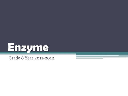 Enzyme Grade 8 Year 2011-2012.